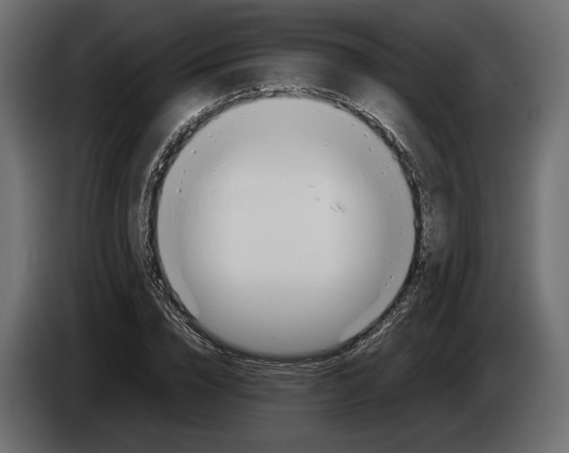 X0000083000832200703020903