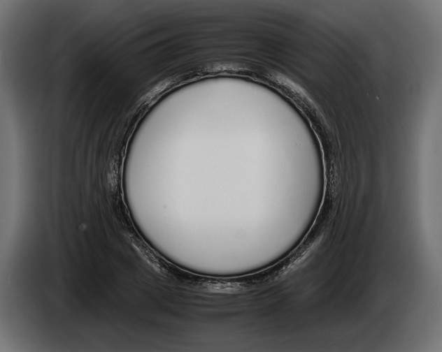 X0000083000833200703020903