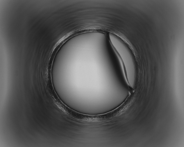 X0000083000834200703020903