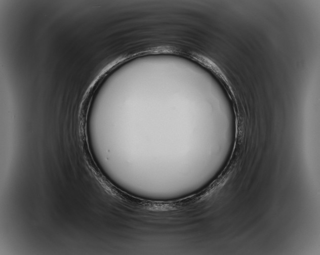 X0000083000835200703020903