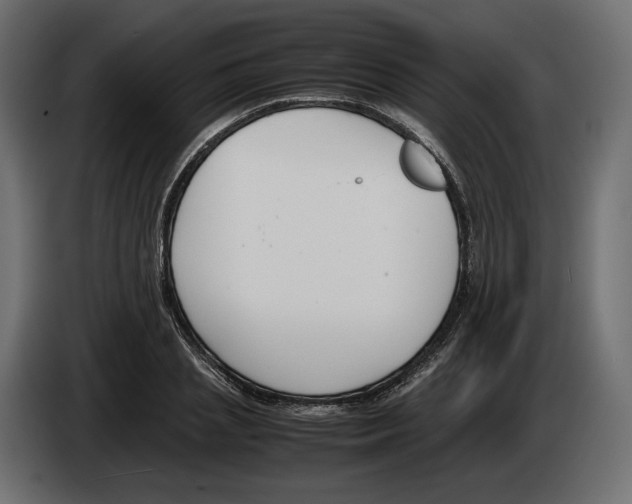 X0000083000837200703020903