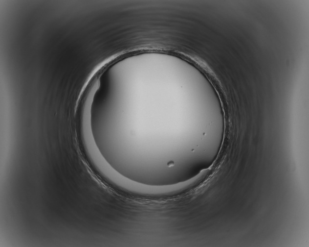 X0000083000838200703020903