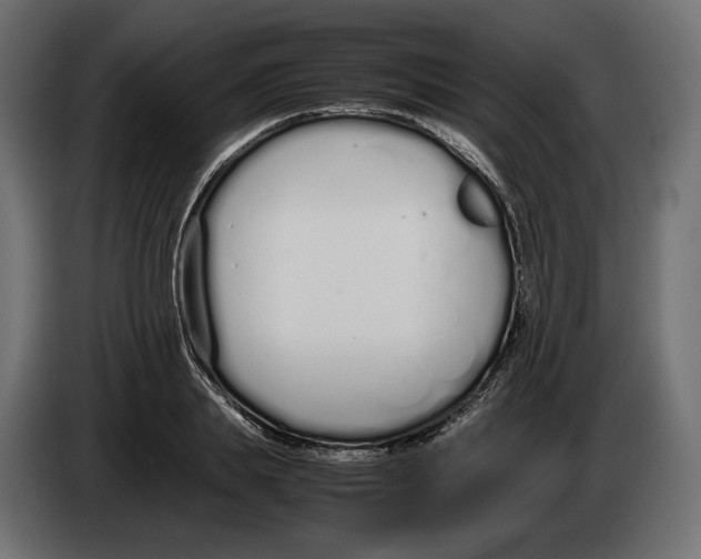 X0000083000839200703020903