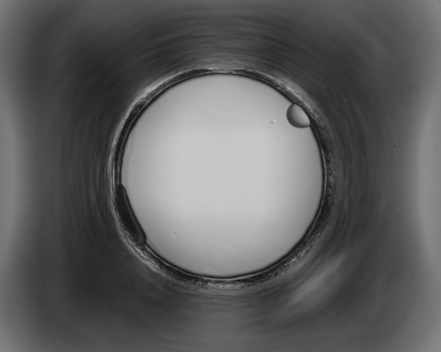 X0000083000840200703020903