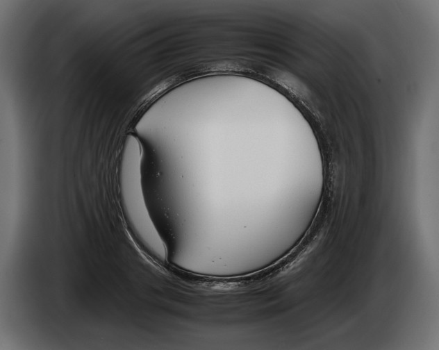 X0000083000841200703020903