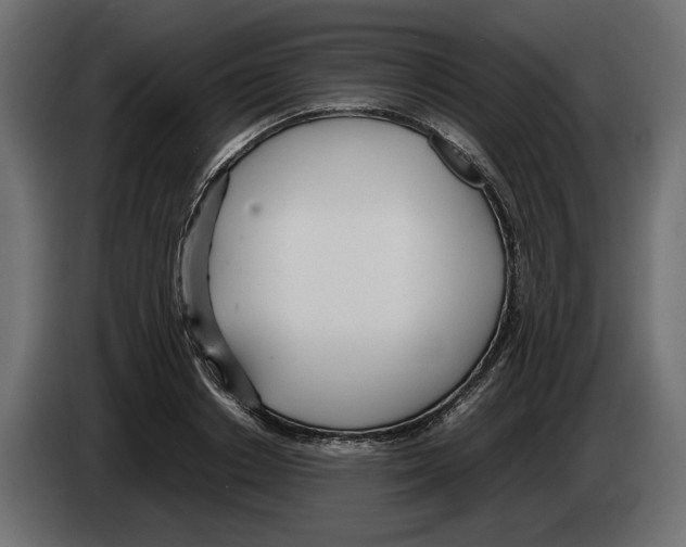 X0000083000842200703020903