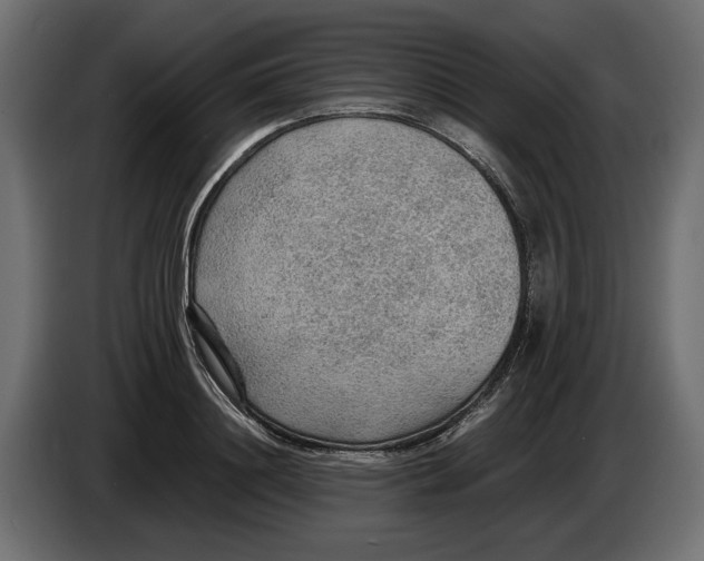 X0000083000844200703020903