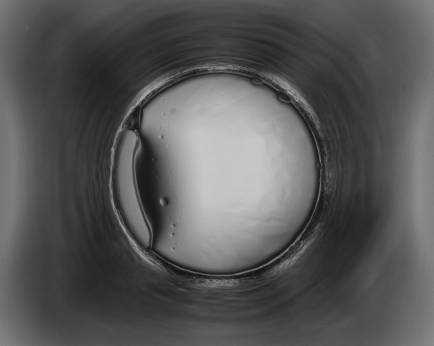 X0000083000845200703020903