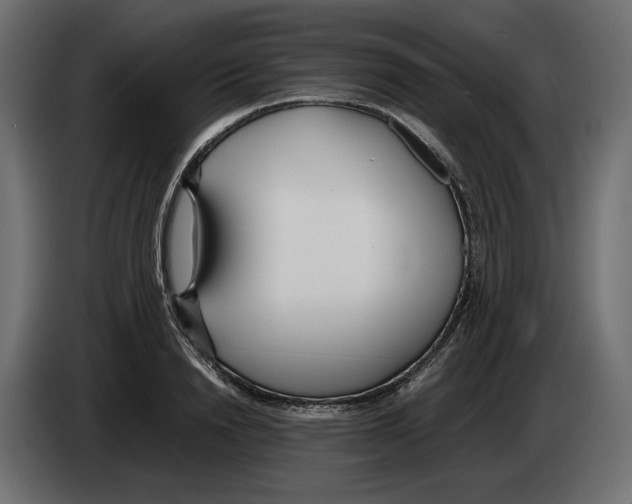 X0000083000846200703020903