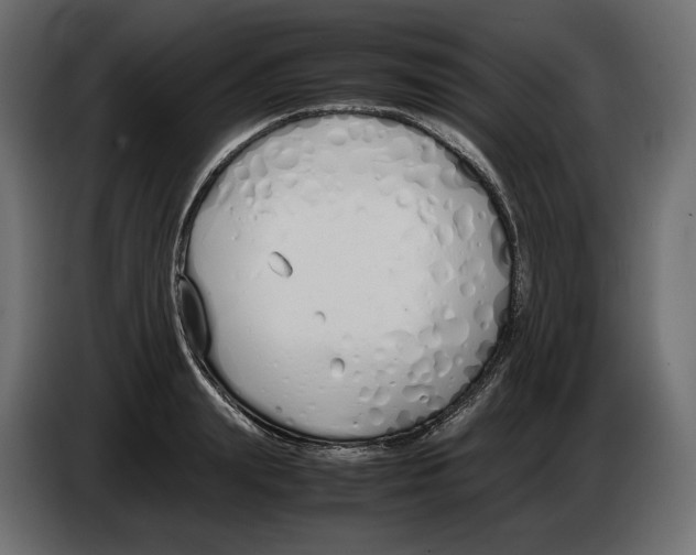 X0000083000847200703020903