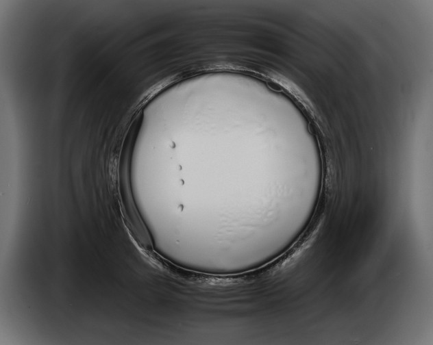 X0000083000849200703020903