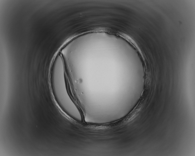 X0000083000851200703020903