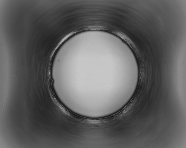 X0000083000852200703020903