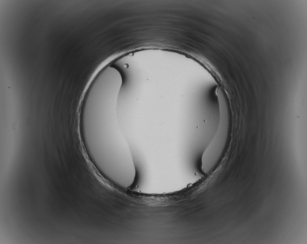 X0000083000854200703020903