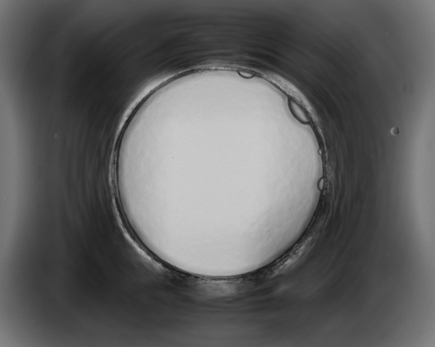 X0000083000855200703020903