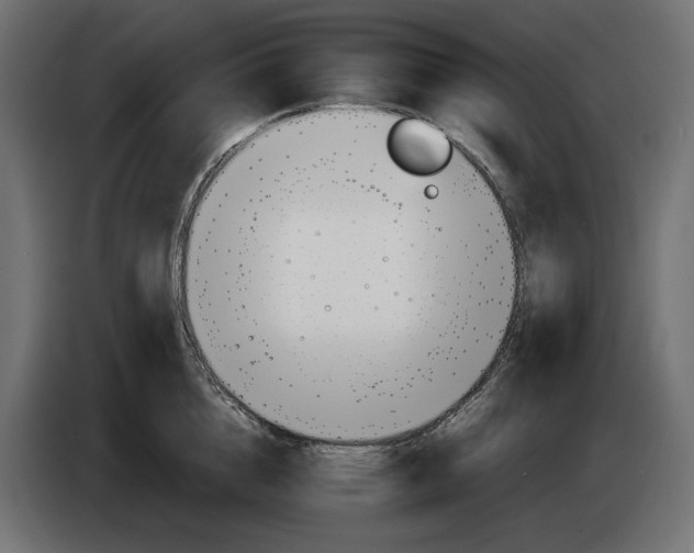 X0000083000856200703020903