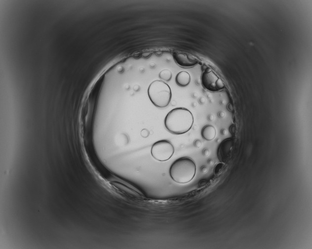 X0000083000859200703020903