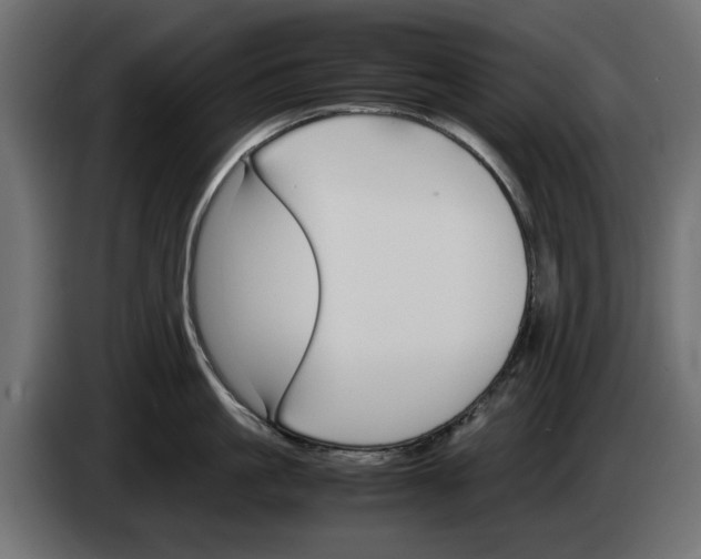 X0000083000861200703020903