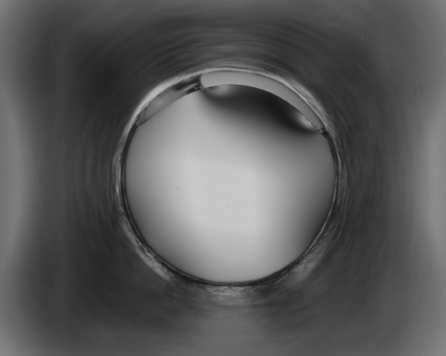 X0000083000862200703020903