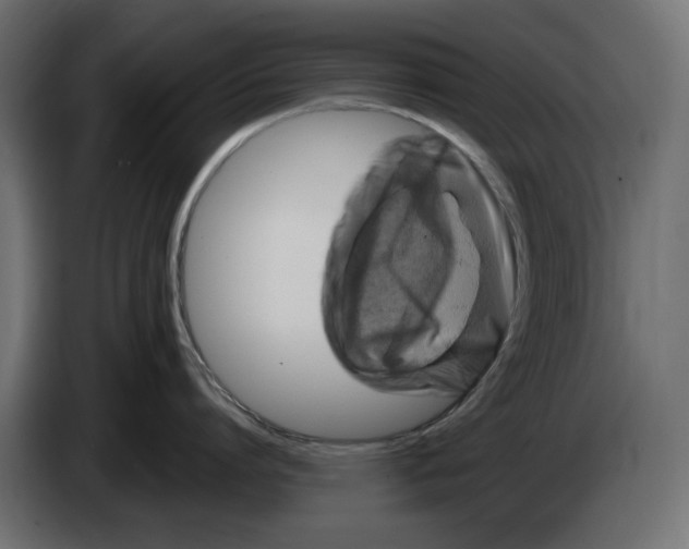 X0000083000864200703020903