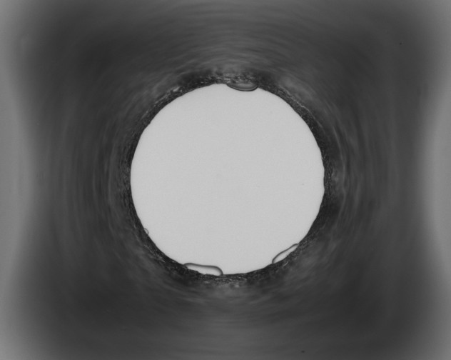 X0000083000865200703020902