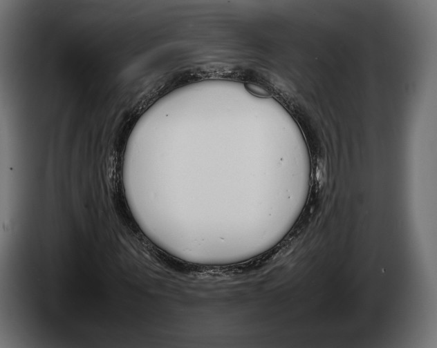 X0000083000867200703020902