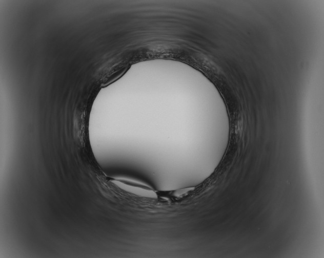 X0000083000868200703020902