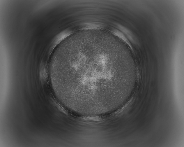 X0000083000874200703020902