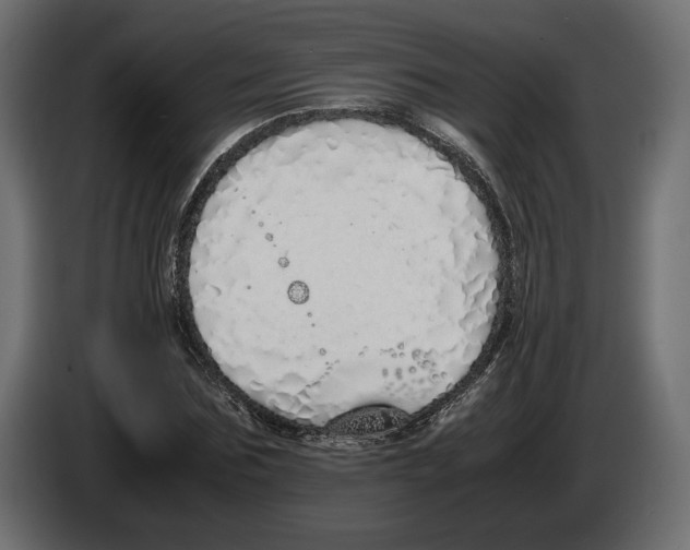 X0000083000875200703020902