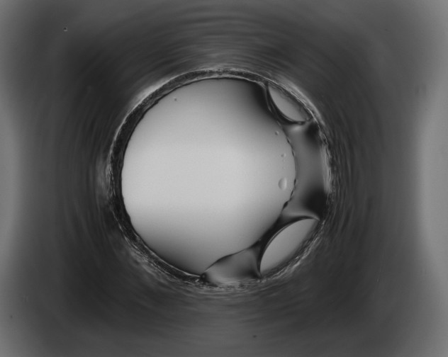 X0000083000876200703020902