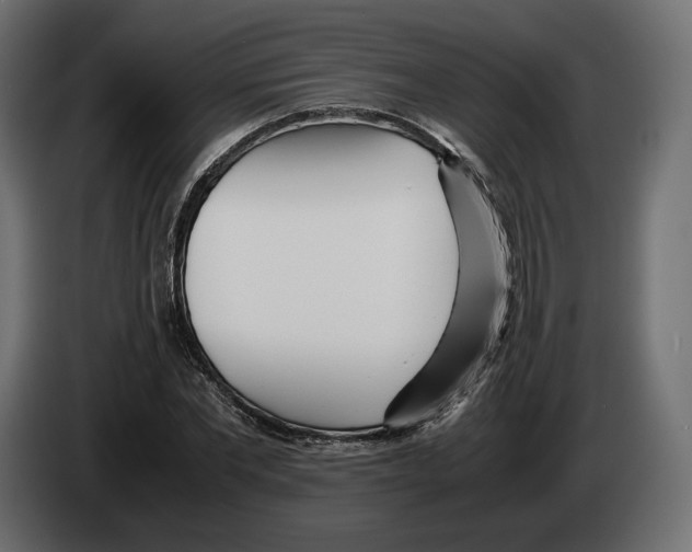 X0000083000877200703020902