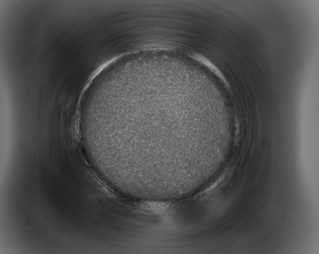 X0000083000878200703020902