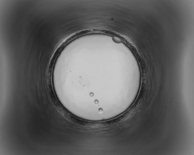 X0000083000879200703020902