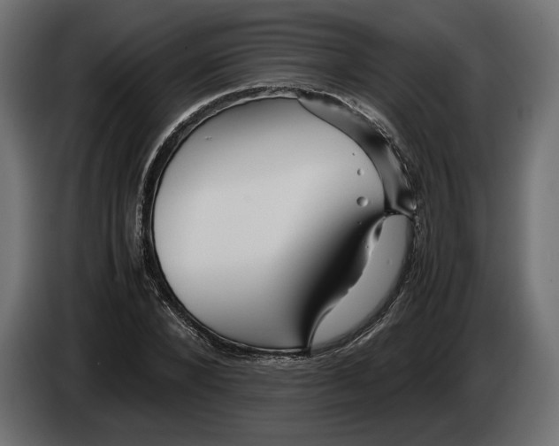 X0000083000880200703020902