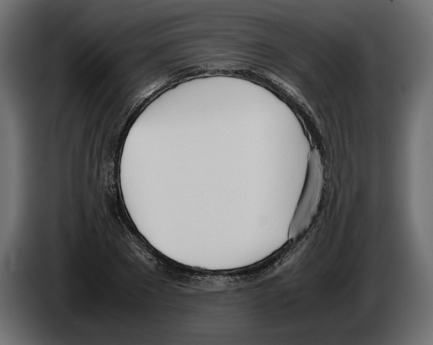 X0000083000881200703020902