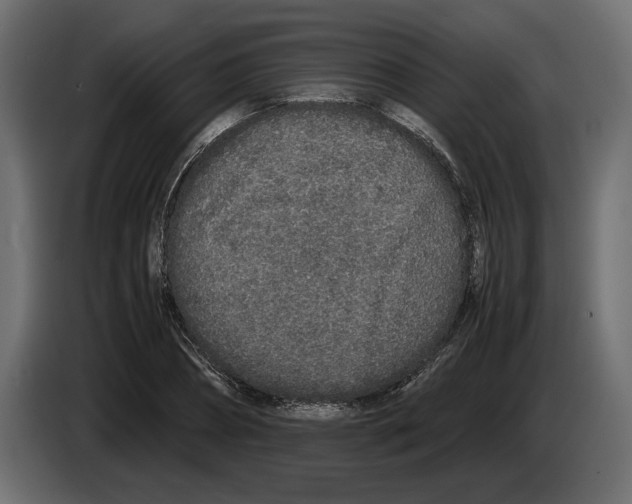 X0000083000882200703020902