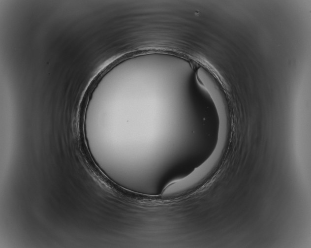 X0000083000884200703020902