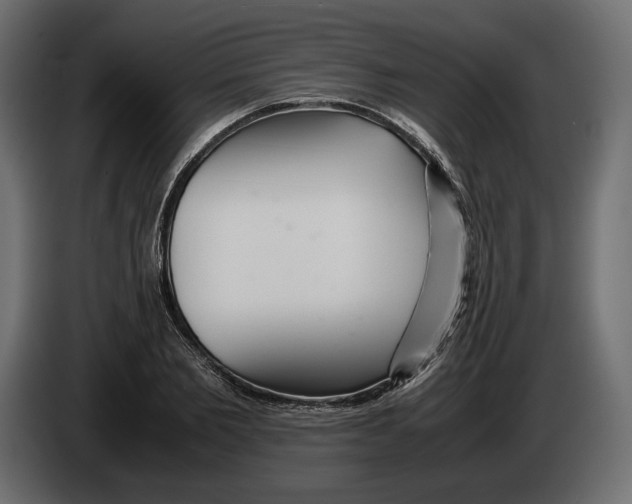 X0000083000885200703020902