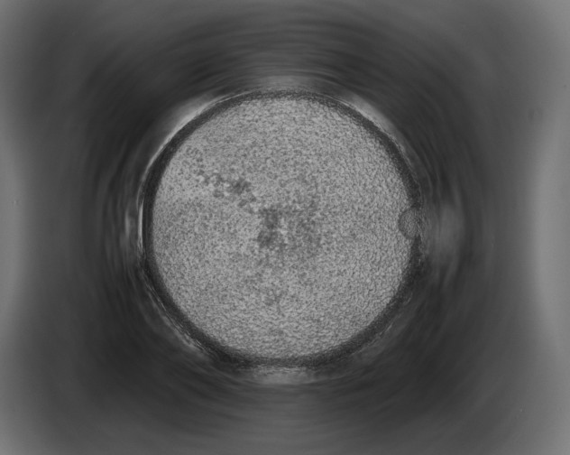 X0000083000886200703020902