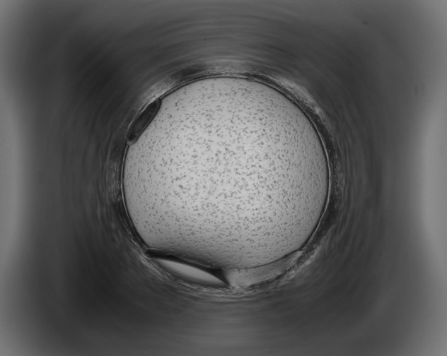 X0000083000889200703020902