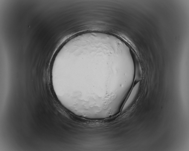 X0000083000891200703020902