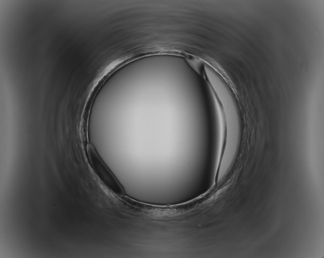 X0000083000893200703020902