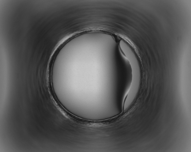 X0000083000894200703020902