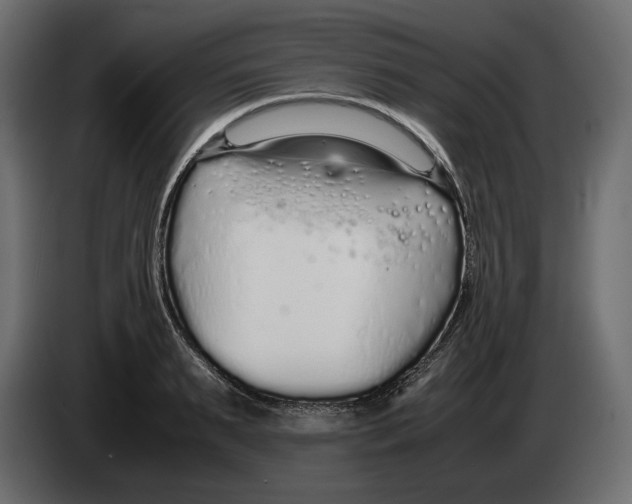 X0000083000895200703020902