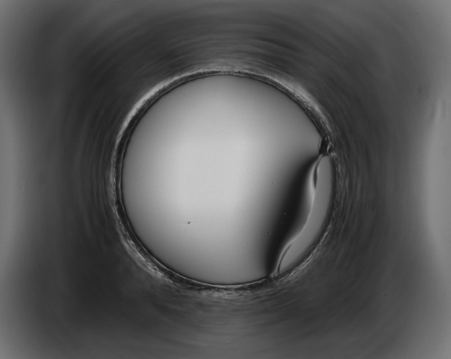 X0000083000896200703020902