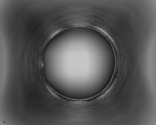 X0000083000897200703020902