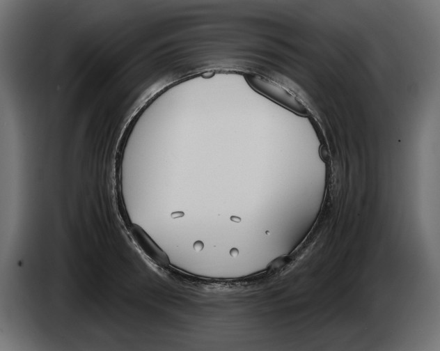 X0000083000898200703020902