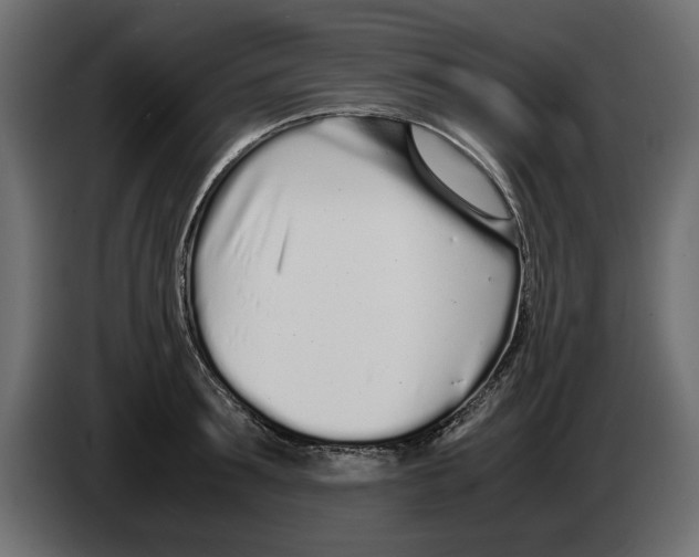 X0000083000899200703020902