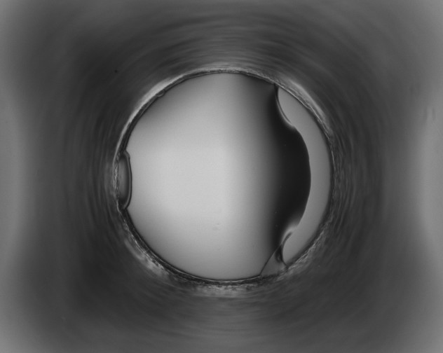 X0000083000900200703020902