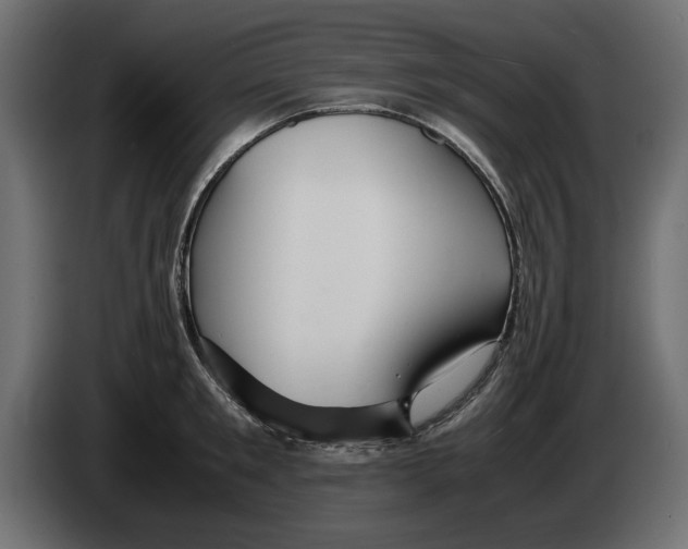 X0000083000901200703020902